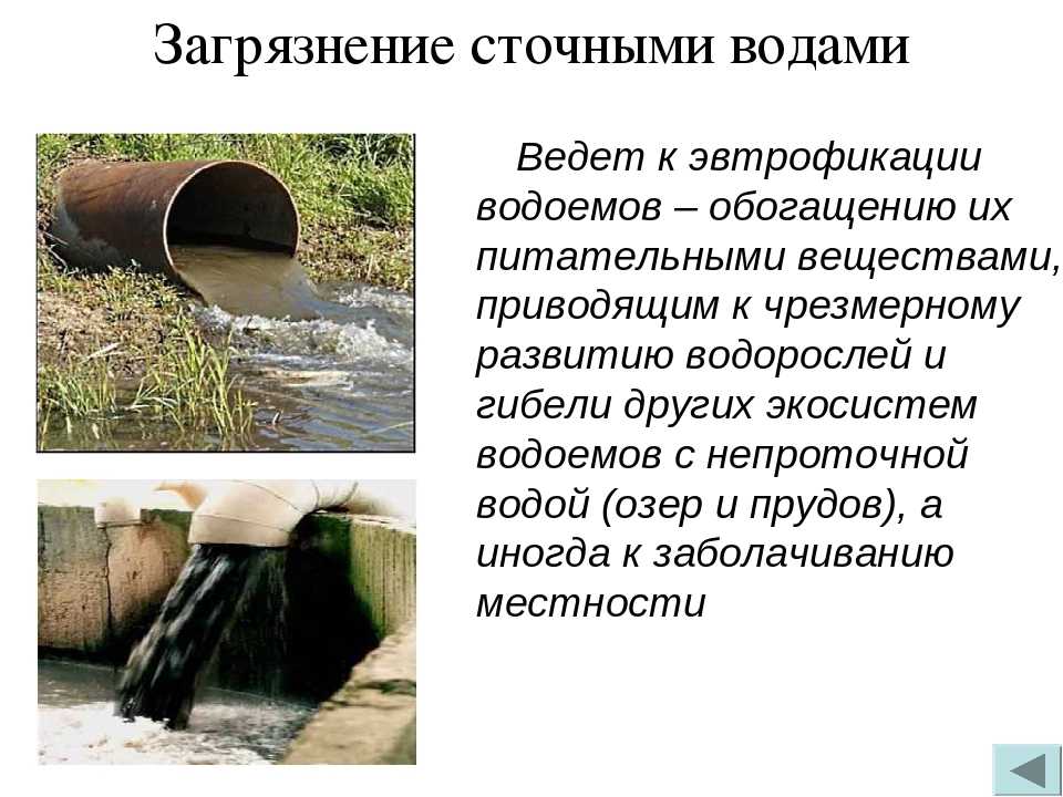  в колодце мутная вода, что делать, простые меры очистки на vodatyt.ru