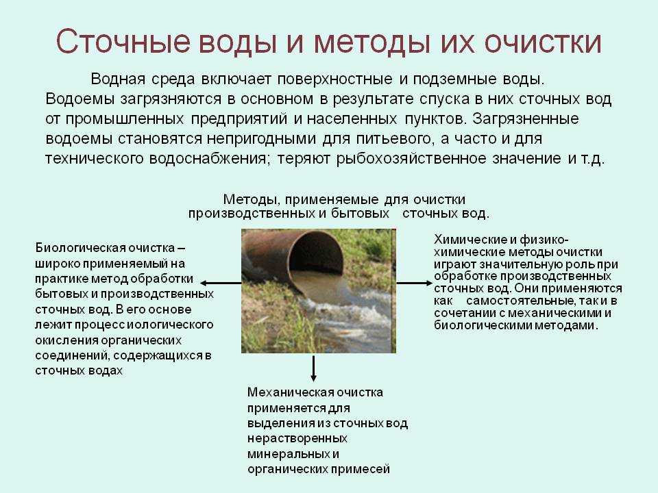 Почему вода из колодца зеленеет: причины + методы очистки | гидро гуру
    adblockrecovery.ru