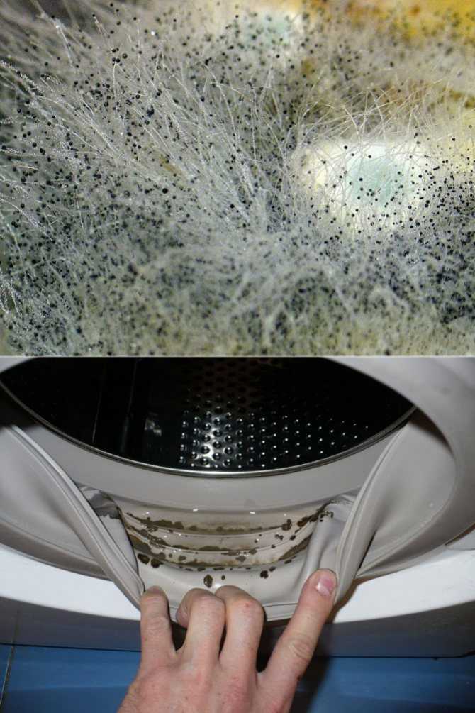 Запах и плесень в стиральной машине 💡 как избавиться: 5 способов чистки в домашних условиях