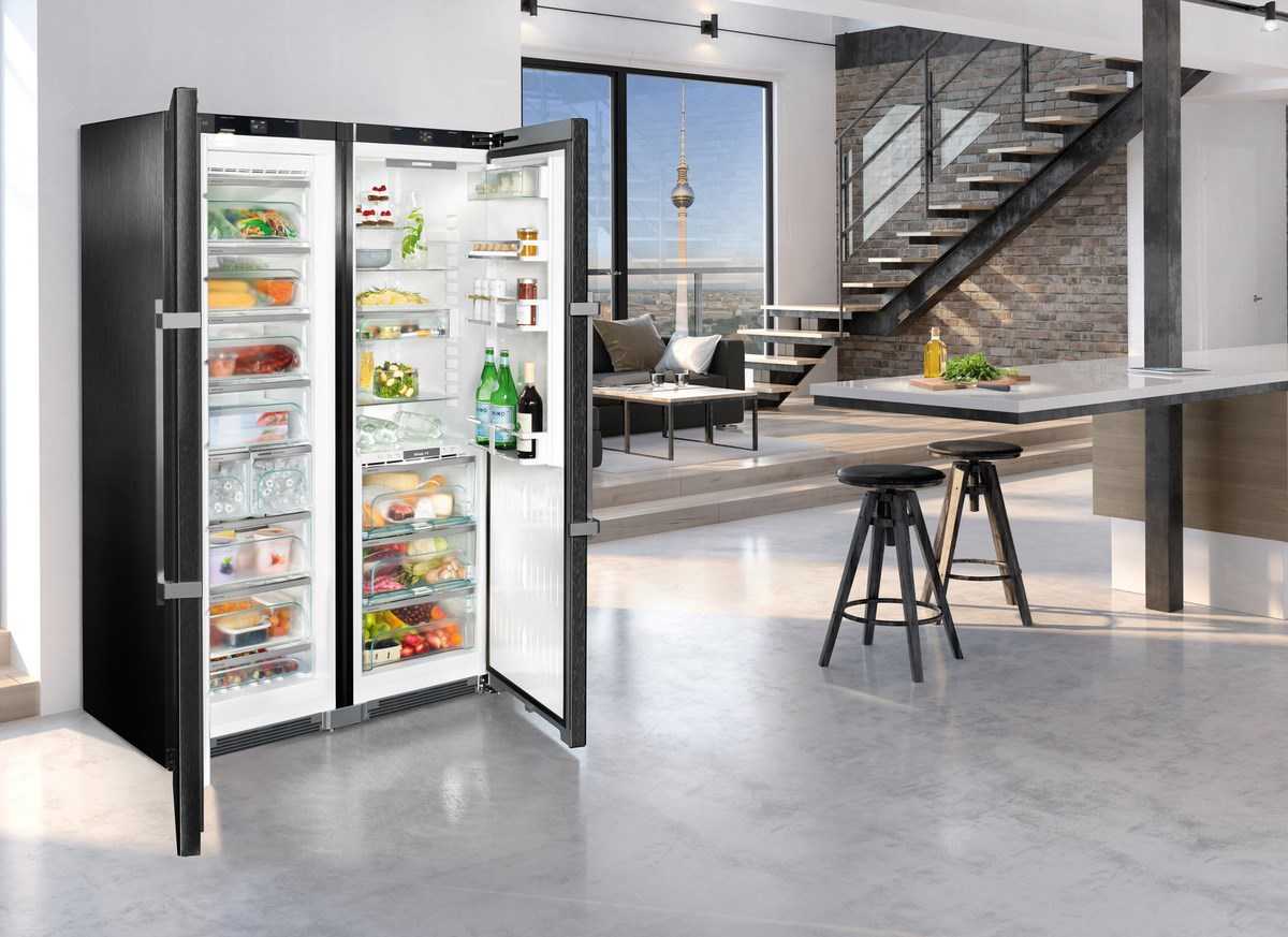 Размеры двухдверного холодильника: широкие модели больших габаритов
