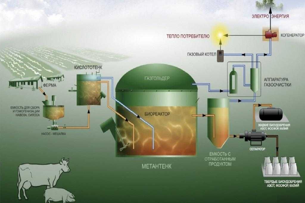 Биогаз из сена и травы. биогазовая установка своими руками