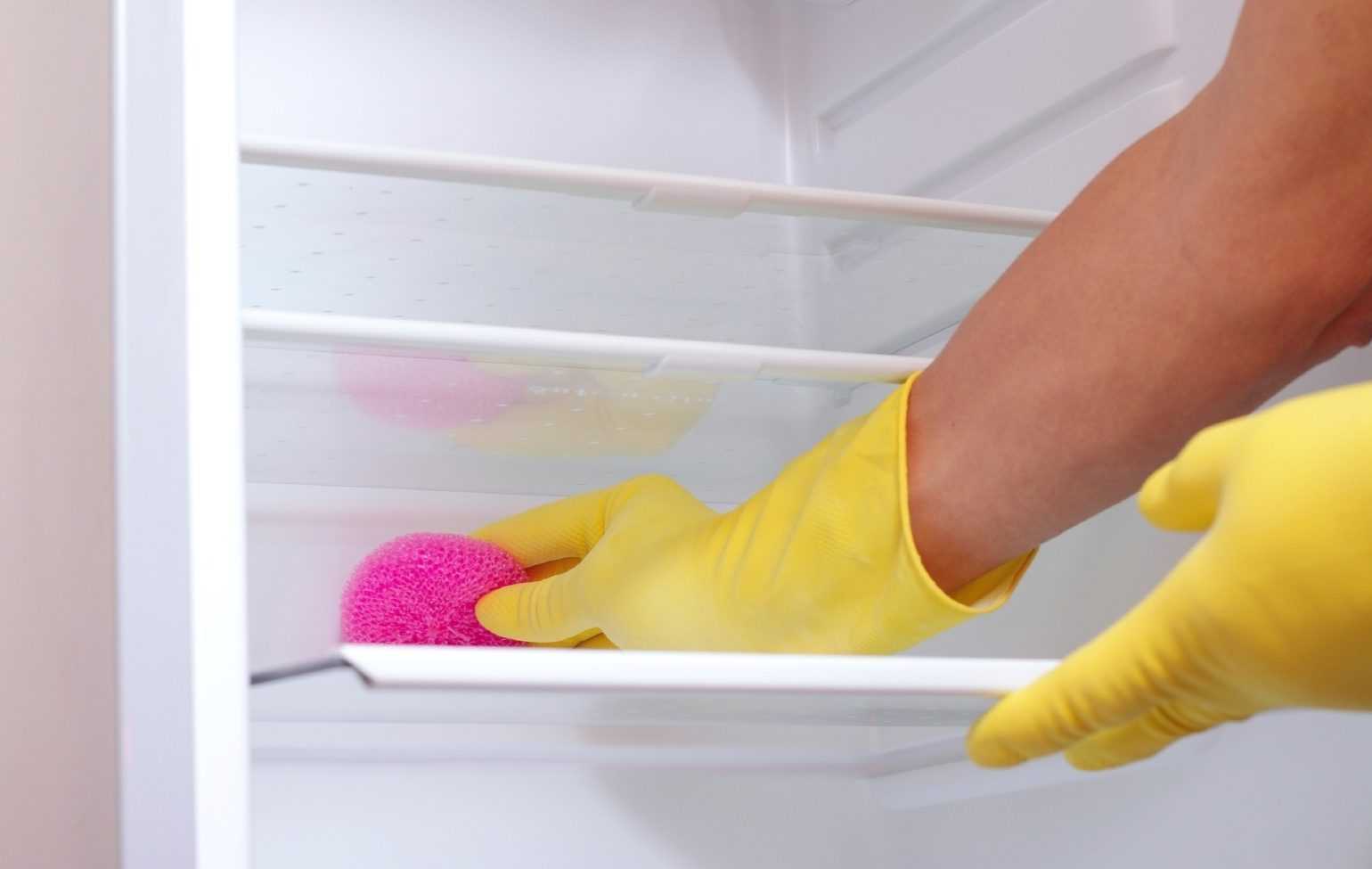 Средства для очистки холодильника: методы и правила ухода