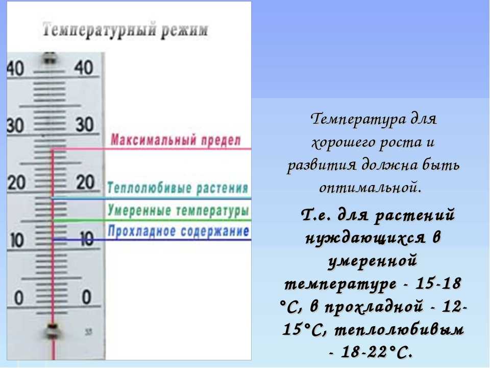 Температура воздуха в школах по нормам гост и санпин