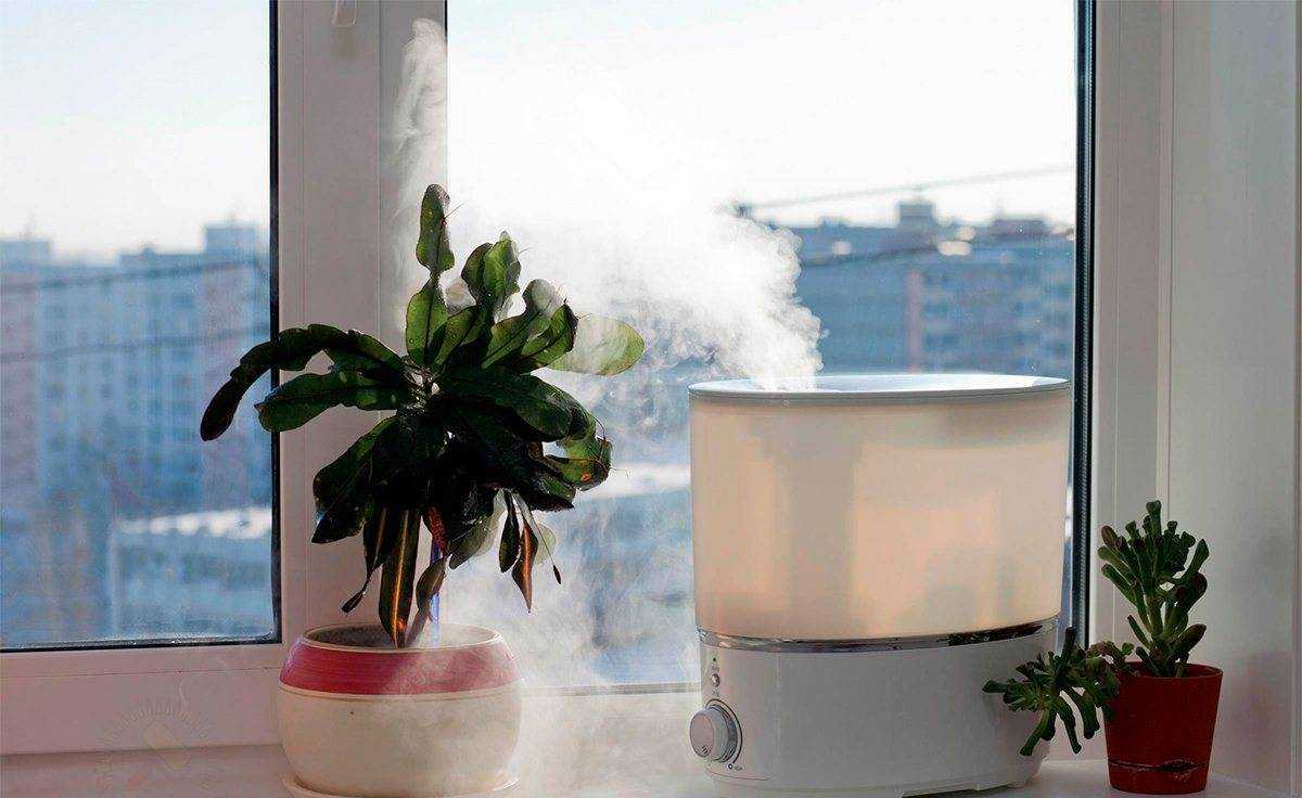 Увлажнитель воздуха для растений