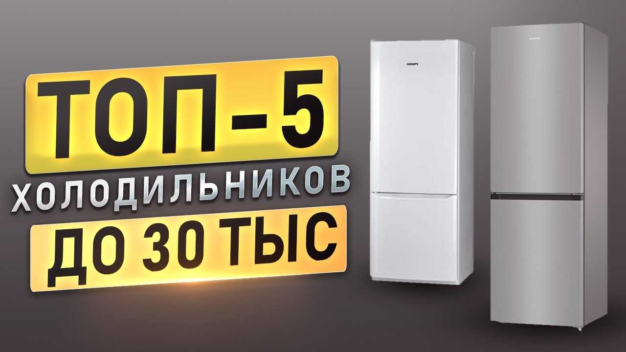 Лучшие холодильники бирюса - рейтинг 2021