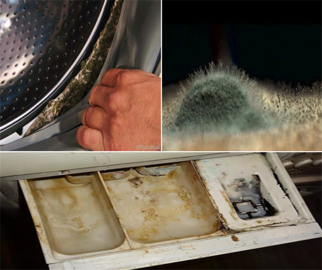 Откуда появляется плесень в стиральной машине  как избавится от нее доступными средствами в домашних условиях Технологии и методики чистки стиральной машины