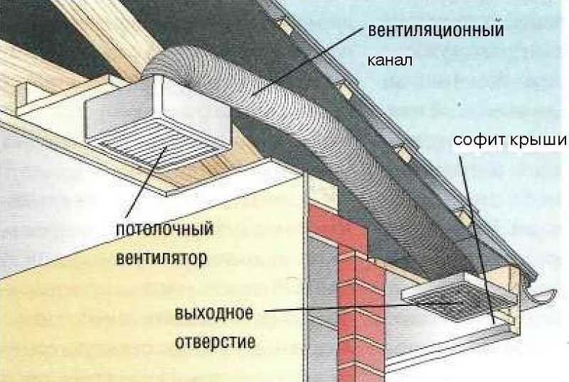 Вывод вентиляции на крышу частного дома