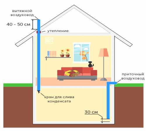 Вентиляция цокольного этажа: приточная и принудительная, особенности и схема