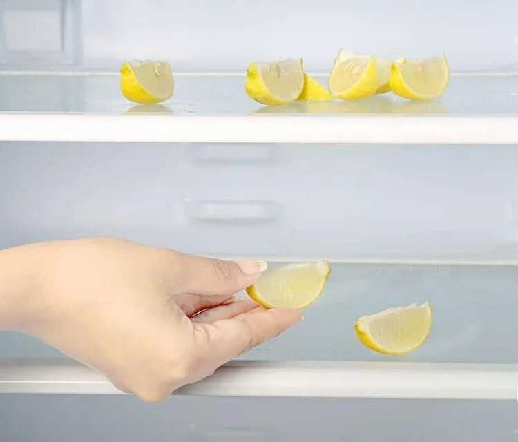 Как избавиться от запаха в холодильнике: способы быстро устранить вонь в домашних условиях
