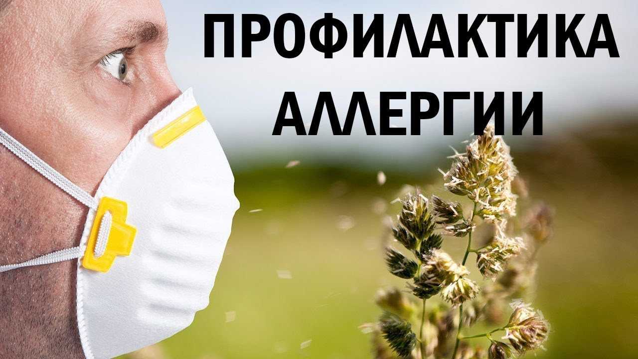 Как выбрать очиститель воздуха для аллергиков и астматиков