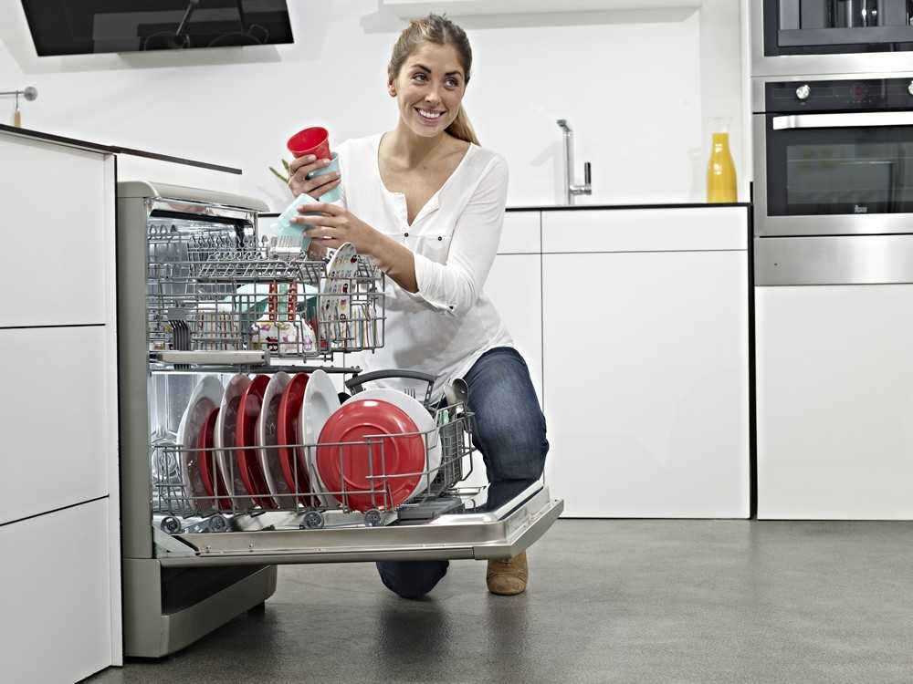 Как выбрать бытовую технику. Посудомоечная машина Тошиба 45 см отдельностоящая. Посудомоечная машина 60 см Fagor. Кухня с бытовой техникой. Посудомоечная машина девушка.