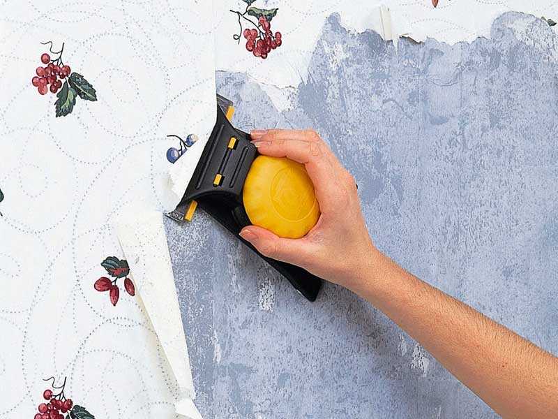 Подготовка стен под обои: особенности снятия обоев и подготовки к поклейке стен с разными поверхностями